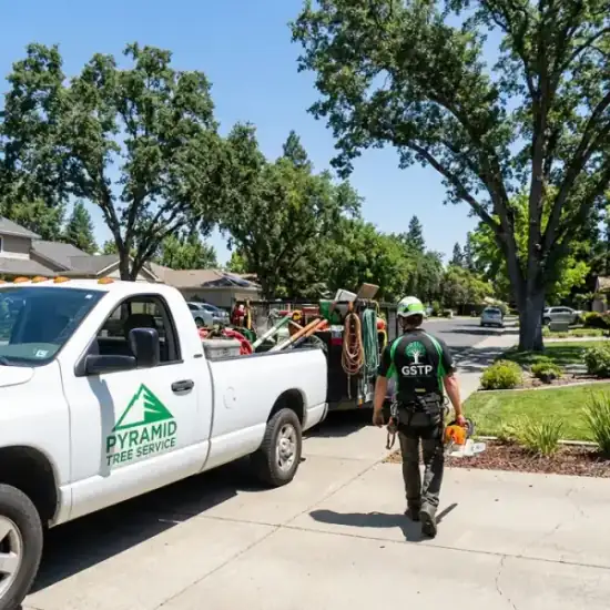 Greenwood Tree Services truck arriving at a Mesa residential job